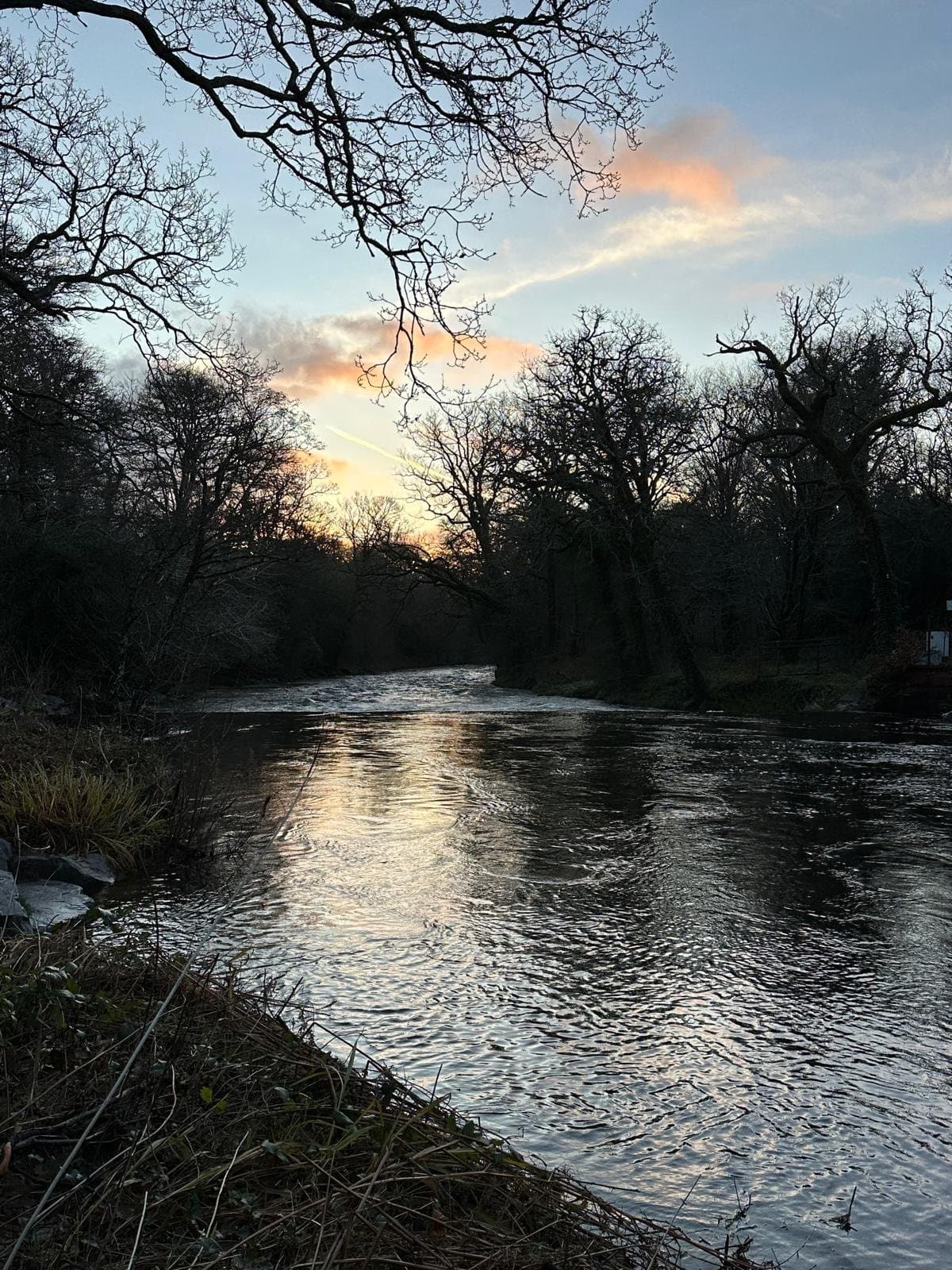 The river at dusk in winter, with bare trees silhouetted against a pink-streaked sky.