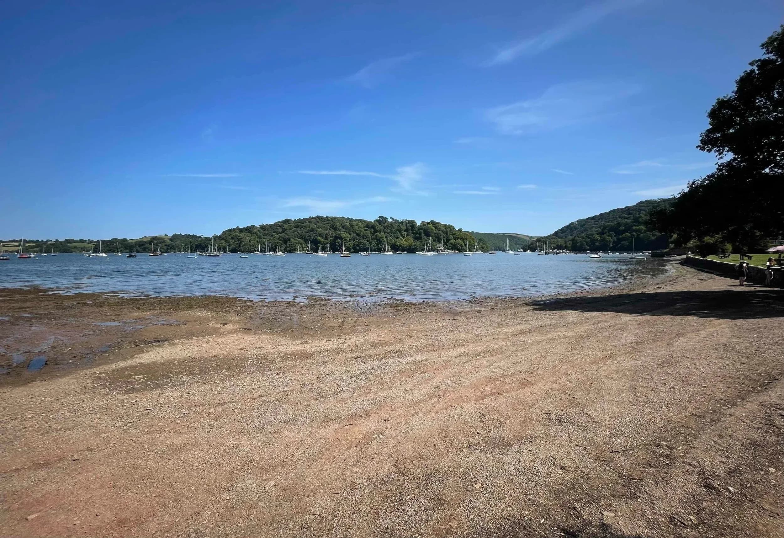 Dittisham 1