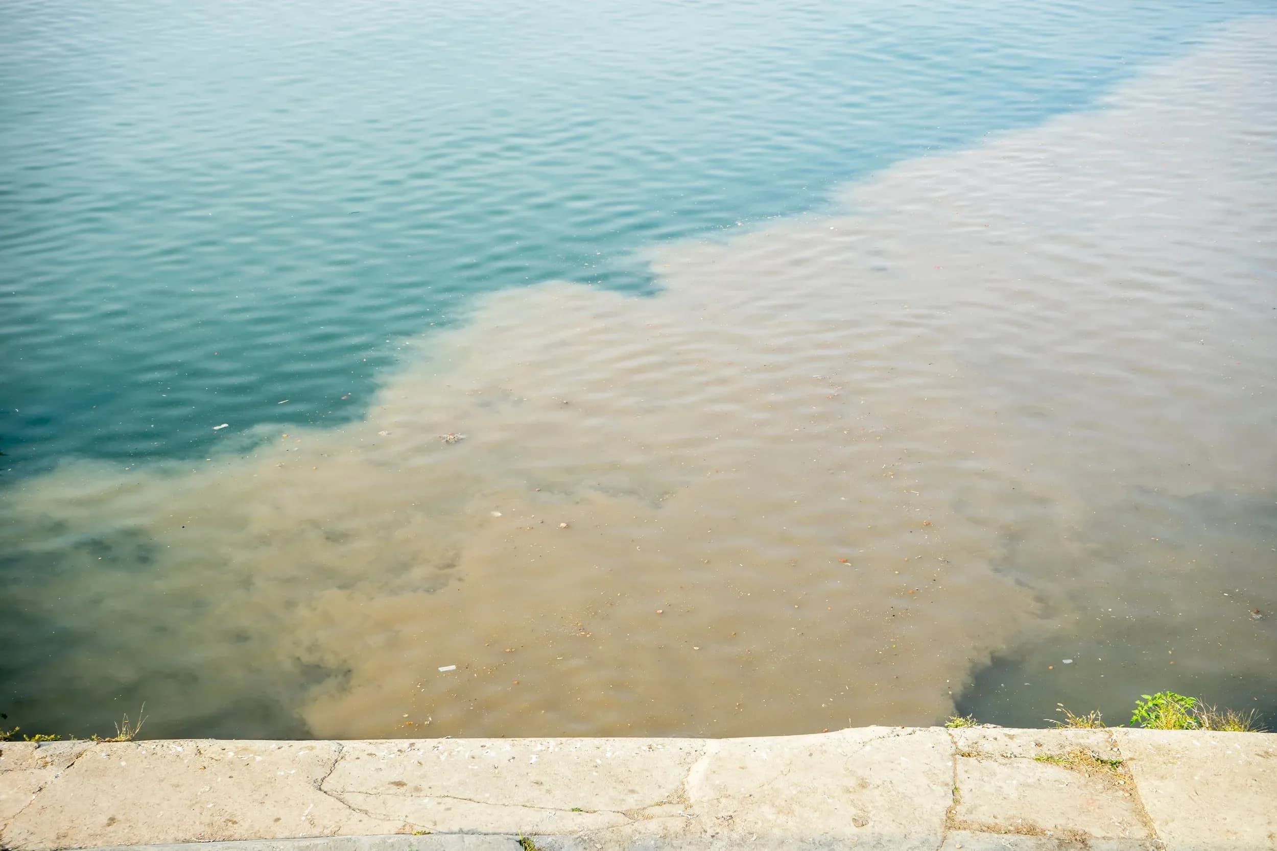 Ten worst sites for sewage spills into the River Dart