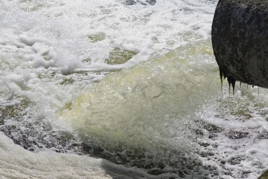 The 20 Worst Sites for Sewage Spills on the River Dart